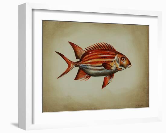 Tropical Fish III-Sydney Edmunds-Framed Giclee Print