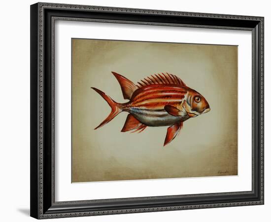 Tropical Fish III-Sydney Edmunds-Framed Giclee Print