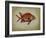 Tropical Fish III-Sydney Edmunds-Framed Giclee Print