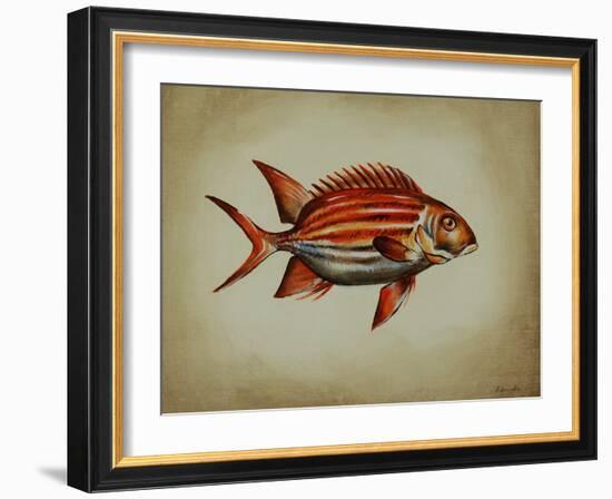 Tropical Fish III-Sydney Edmunds-Framed Giclee Print