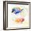 Tropical Fish Square I-Lanie Loreth-Framed Art Print