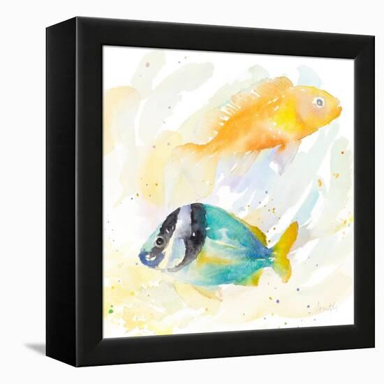 Tropical Fish Square II-Lanie Loreth-Framed Stretched Canvas