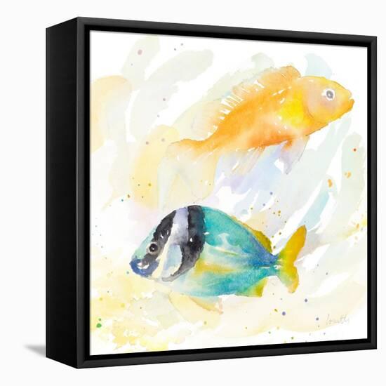 Tropical Fish Square II-Lanie Loreth-Framed Stretched Canvas