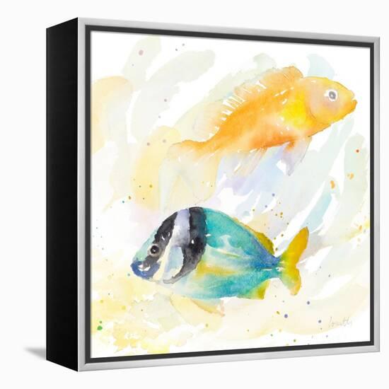 Tropical Fish Square II-Lanie Loreth-Framed Stretched Canvas