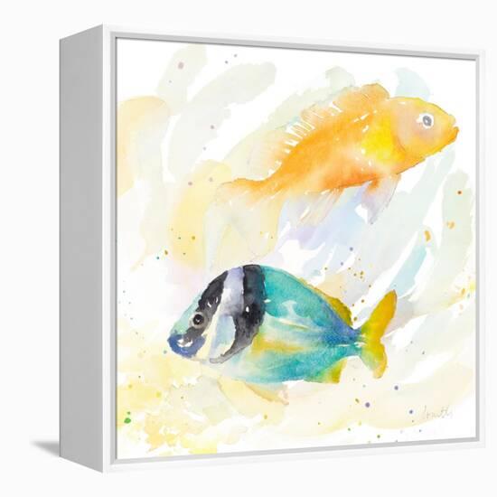 Tropical Fish Square II-Lanie Loreth-Framed Stretched Canvas