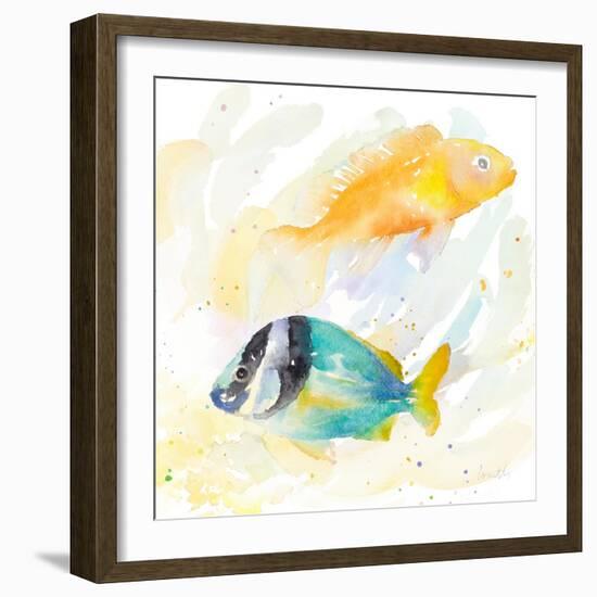 Tropical Fish Square II-Lanie Loreth-Framed Art Print