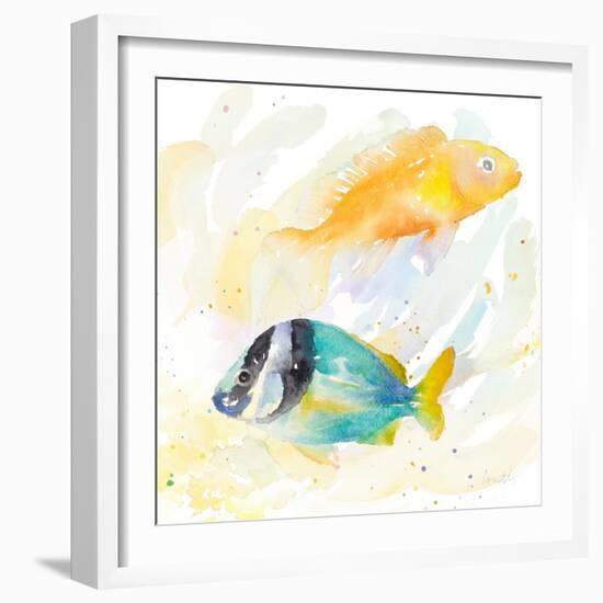Tropical Fish Square II-Lanie Loreth-Framed Art Print
