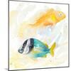 Tropical Fish Square II-Lanie Loreth-Mounted Art Print