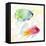 Tropical Fish Square III-Lanie Loreth-Framed Stretched Canvas