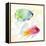 Tropical Fish Square III-Lanie Loreth-Framed Stretched Canvas