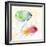 Tropical Fish Square III-Lanie Loreth-Framed Art Print