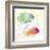 Tropical Fish Square III-Lanie Loreth-Framed Art Print