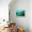 Tropical Fish Swimming over Reef-Stephen Frink-Framed Premier Image Canvas displayed on a wall