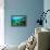 Tropical Fish Swimming over Reef-Stephen Frink-Framed Premier Image Canvas displayed on a wall