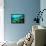 Tropical Fish Swimming over Reef-Stephen Frink-Framed Premier Image Canvas displayed on a wall