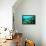 Tropical Fish Swimming over Reef-Stephen Frink-Framed Premier Image Canvas displayed on a wall