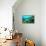 Tropical Fish Swimming over Reef-Stephen Frink-Framed Premier Image Canvas displayed on a wall