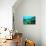 Tropical Fish Swimming over Reef-Stephen Frink-Photographic Print displayed on a wall