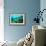 Tropical Fish Swimming over Reef-Stephen Frink-Framed Photographic Print displayed on a wall