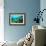 Tropical Fish Swimming over Reef-Stephen Frink-Framed Photographic Print displayed on a wall