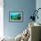 Tropical Fish Swimming over Reef-Stephen Frink-Framed Photographic Print displayed on a wall