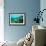 Tropical Fish Swimming over Reef-Stephen Frink-Framed Photographic Print displayed on a wall