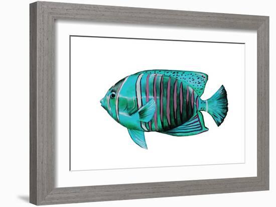 Tropical Fish V-Sydney Edmunds-Framed Giclee Print