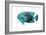 Tropical Fish V-Sydney Edmunds-Framed Giclee Print