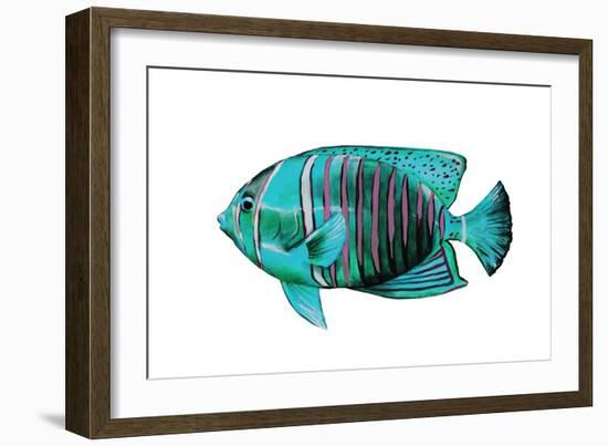 Tropical Fish V-Sydney Edmunds-Framed Giclee Print