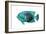 Tropical Fish V-Sydney Edmunds-Framed Giclee Print