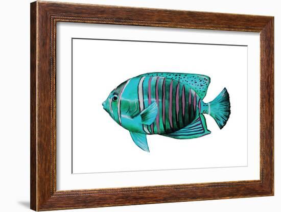 Tropical Fish V-Sydney Edmunds-Framed Giclee Print