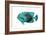 Tropical Fish V-Sydney Edmunds-Framed Giclee Print