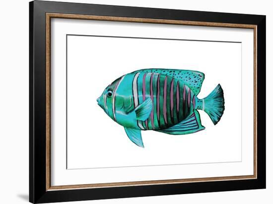 Tropical Fish V-Sydney Edmunds-Framed Giclee Print