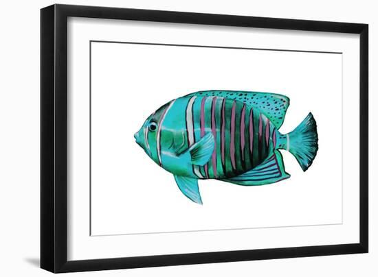 Tropical Fish V-Sydney Edmunds-Framed Giclee Print