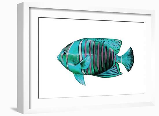 Tropical Fish V-Sydney Edmunds-Framed Giclee Print