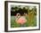 Tropical Flamingo I-Linda Baliko-Framed Art Print