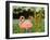 Tropical Flamingo I-Linda Baliko-Framed Art Print