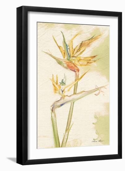 Tropical Floral II Light-Cheri Blum-Framed Art Print