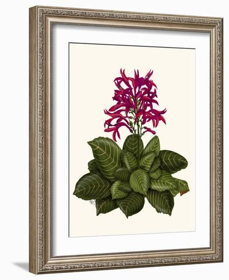 Tropical Flower 1-Fab Funky-Framed Art Print