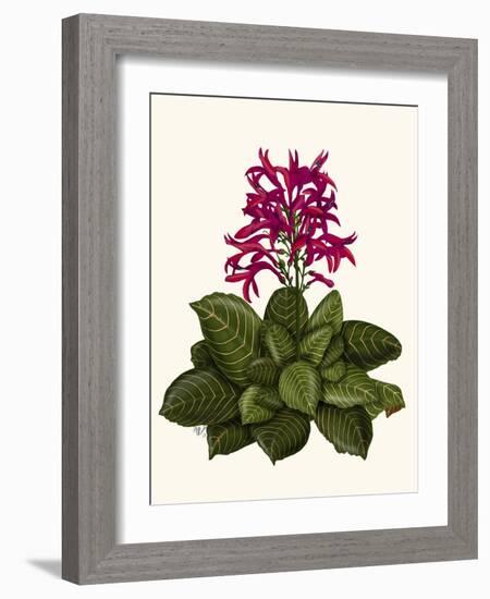 Tropical Flower 1-Fab Funky-Framed Art Print