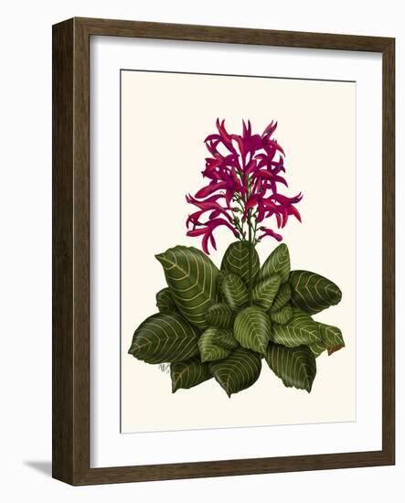 Tropical Flower 1-Fab Funky-Framed Art Print