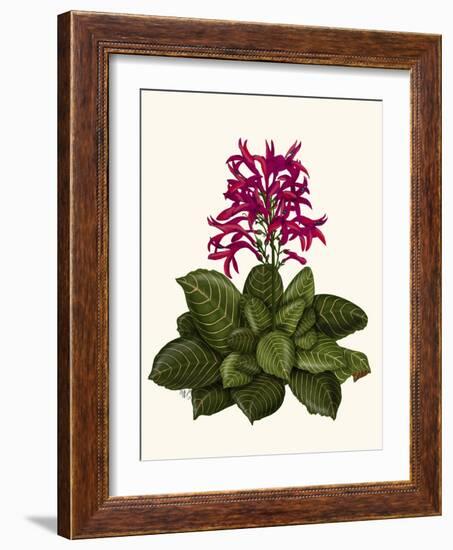 Tropical Flower 1-Fab Funky-Framed Art Print