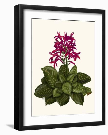 Tropical Flower 1-Fab Funky-Framed Art Print