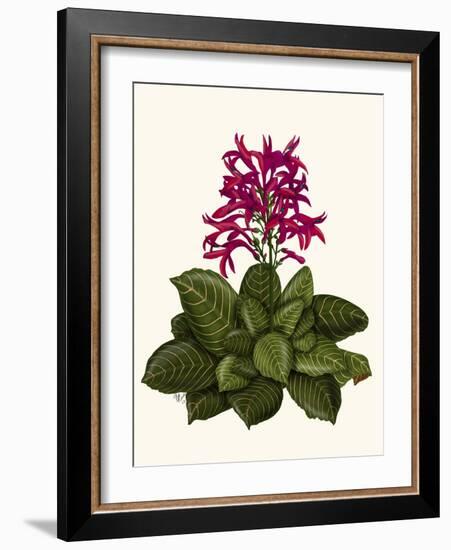 Tropical Flower 1-Fab Funky-Framed Art Print