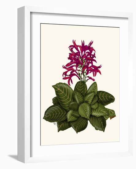 Tropical Flower 1-Fab Funky-Framed Art Print