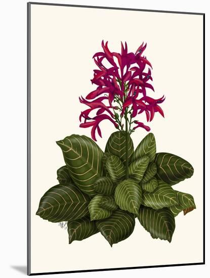 Tropical Flower 1-Fab Funky-Mounted Art Print