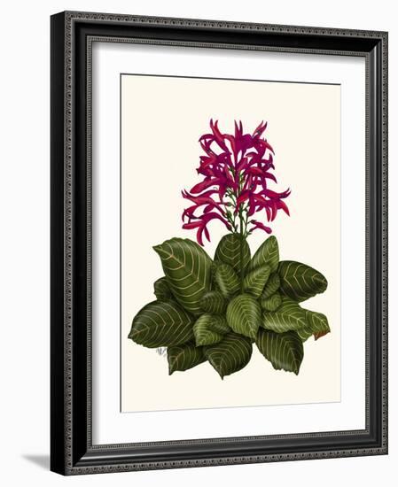 Tropical Flower 1-Fab Funky-Framed Art Print