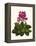 Tropical Flower 1-Fab Funky-Framed Stretched Canvas