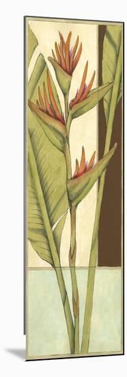 Tropical Flower Panel II-Jennifer Goldberger-Mounted Art Print