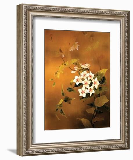 Tropical Flower-Haruyo Morita-Framed Premium Giclee Print